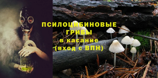 трава Верея