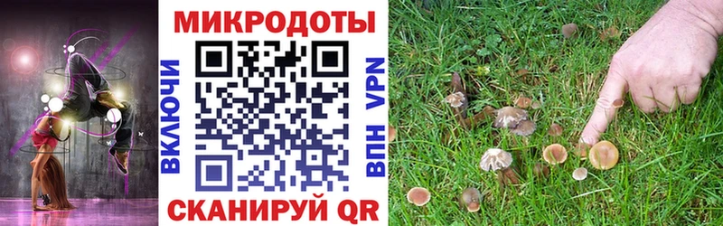 купить наркотики цена  Кизляр  Галлюциногенные грибы Psilocybe 